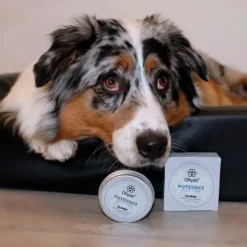 Ollipet Naturlig Potevoks | 60g