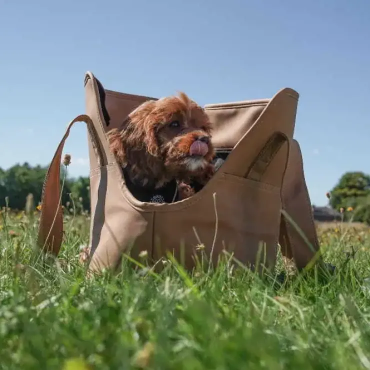 Ollipet Nice Hundetaske