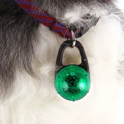 Ollipet Night Glow LED Lygte
