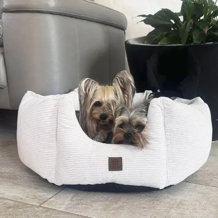 Ollipet Nordic Star Hundekurv