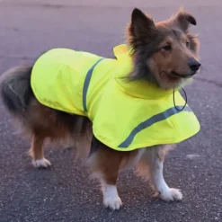 Ollipet Outdoor Rain Shield | OUTLET