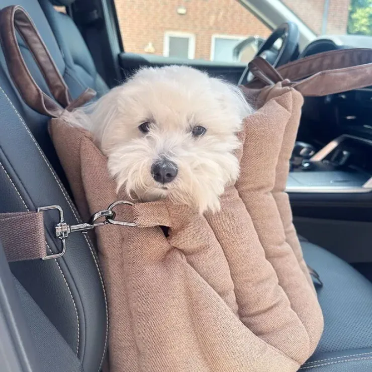 Ollipet Paris City Bag 3i1