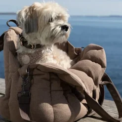 Ollipet Paris City Bag 3i1