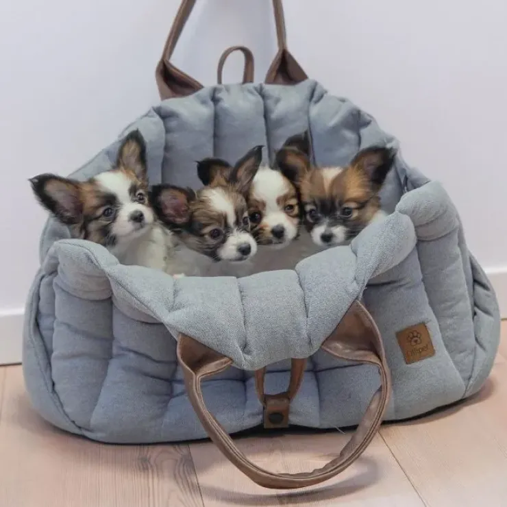 Ollipet Paris City Bag 3i1
