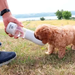 Ollipet Pet Water Cup | 2i1
