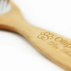 Ollipet Pin Brush |Olieret birketræ