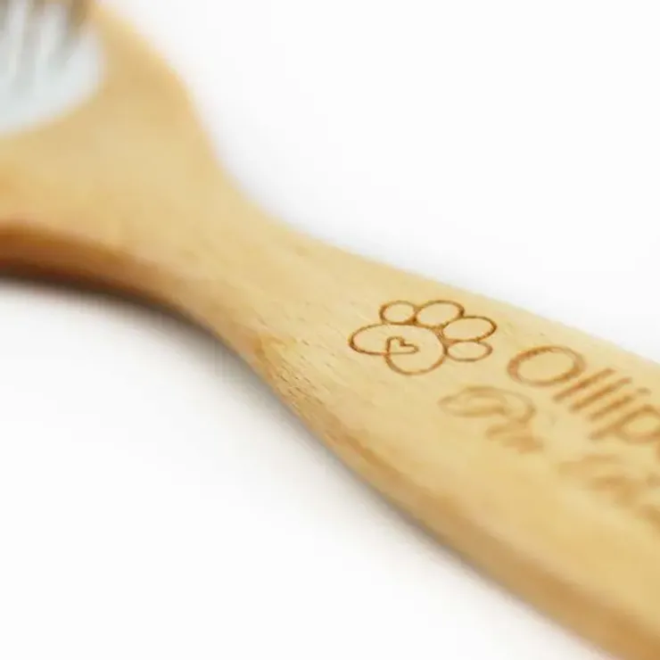Ollipet Pin Brush |Olieret birketræ