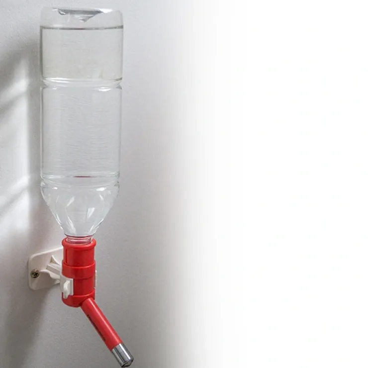 Ollipet Plastflaske til Pet water feeder