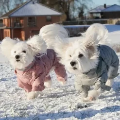 Ollipet Polar Flyverdragt