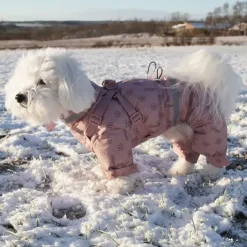 Ollipet Polar Flyverdragt