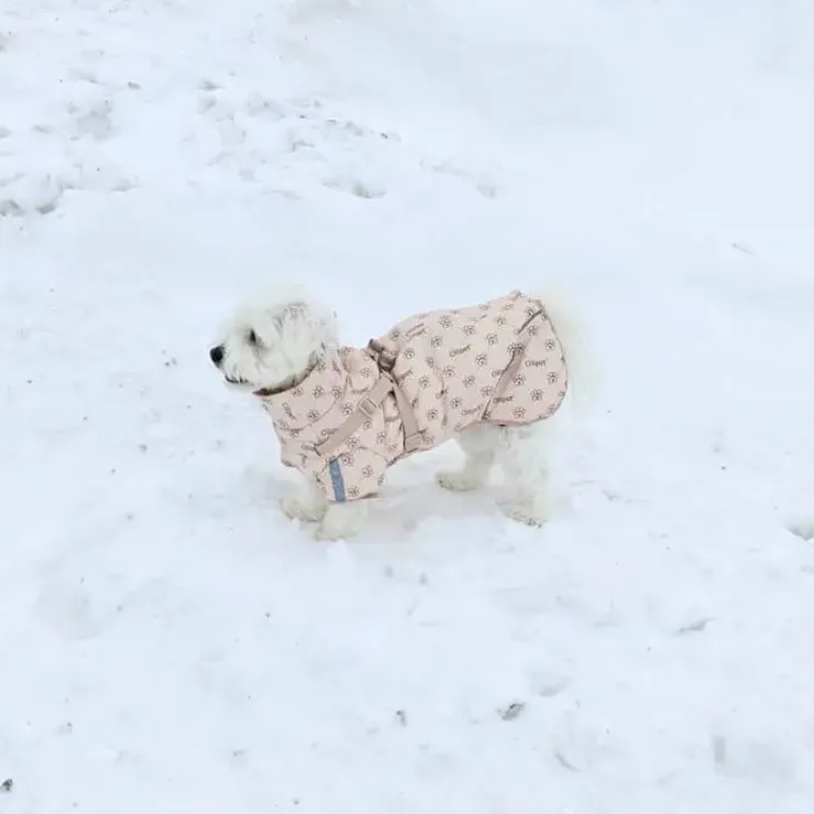Ollipet Polar Vinterjakke