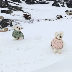 Ollipet Polar Vinterjakke