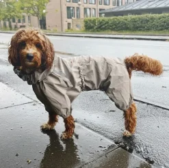 Ollipet Poncho Regndragt | Khaki