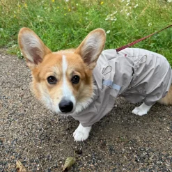Ollipet Poncho Regndragt | Khaki