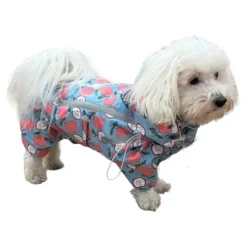 Ollipet Ponjo Regndragt | OUTLET