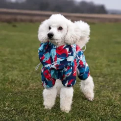Ollipet Ponjo Regndragt | OUTLET