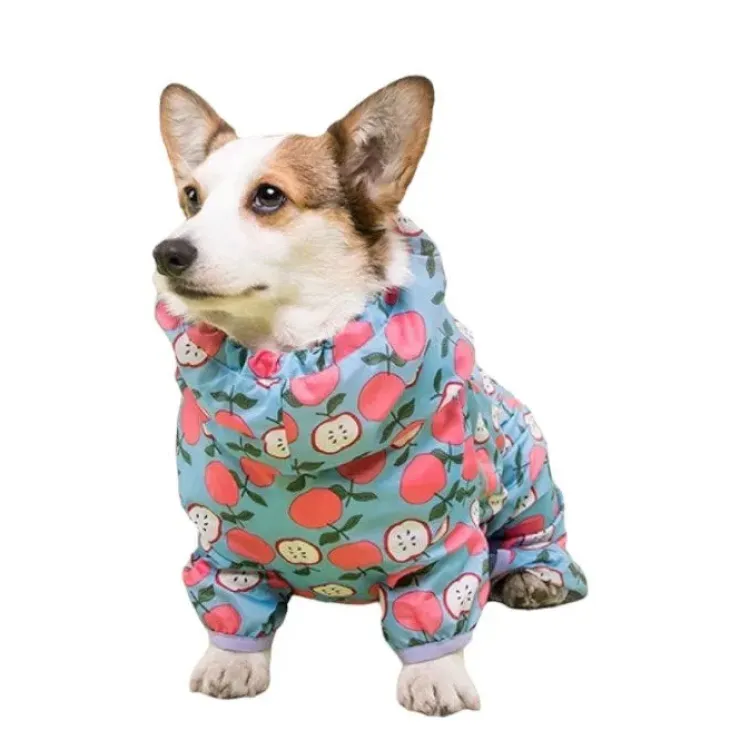 Ollipet Ponjo Regndragt | OUTLET