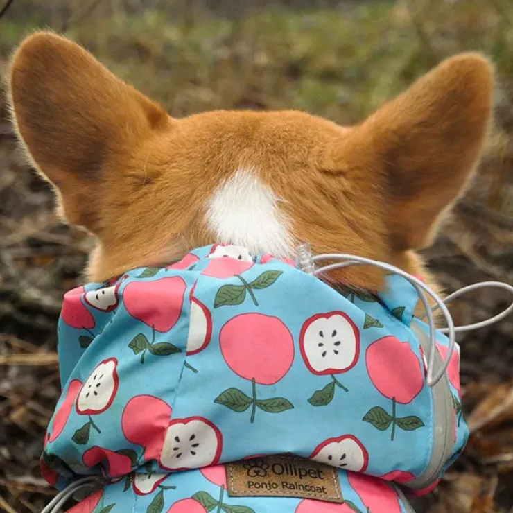 Ollipet Ponjo Regndragt | OUTLET