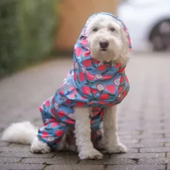 Ollipet Ponjo Regndragt | OUTLET