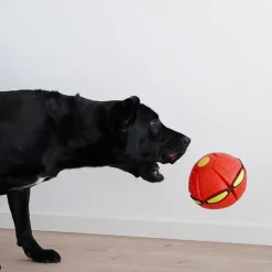 Ollipet Power Frisbee Ball
