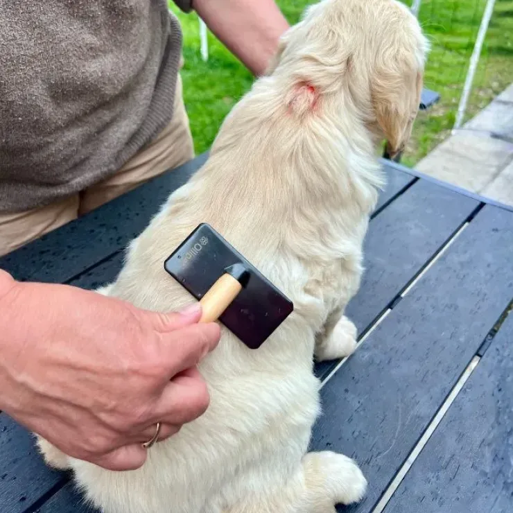 Ollipet Professional Slicker Brush | Med dupper
