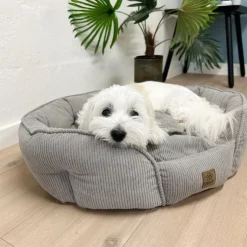 Ollipet Quinn hundeseng