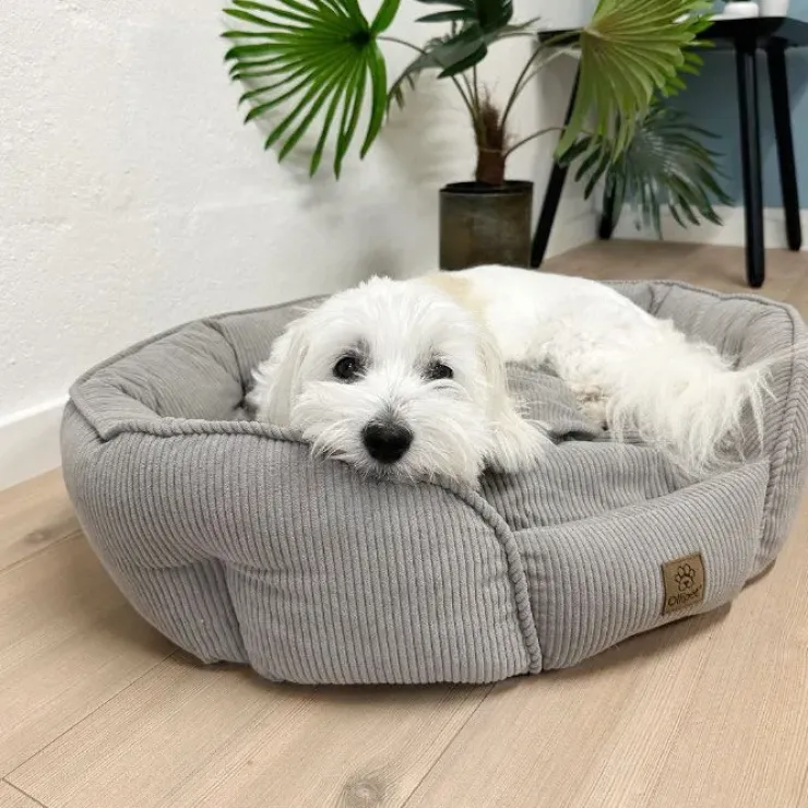 Ollipet Quinn hundeseng