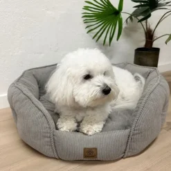 Ollipet Quinn hundeseng