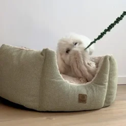Ollipet Rabbit Tail Bungee | Belønningslegetøj