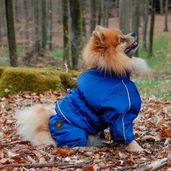Ollipet regndragt til hunde | Color Collection | OUTLET