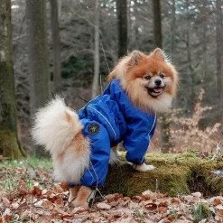 Ollipet regndragt til hunde | Color Collection | OUTLET