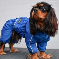 Ollipet regndragt til hunde | Color Collection | OUTLET