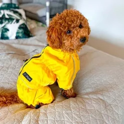 Ollipet regndragt til hunde | Color Collection | OUTLET