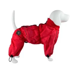 Ollipet regndragt til hunde | Color Collection | OUTLET