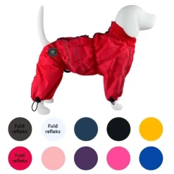 Ollipet regndragt til hunde | Color Collection | OUTLET