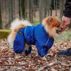 Ollipet regndragt til hunde | Color Collection | OUTLET