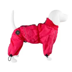 Ollipet regndragt til hunde | Color Collection | OUTLET