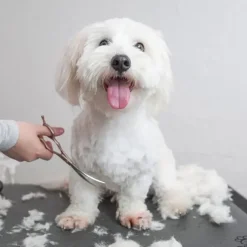Ollipet Rosella Buet Groomingsaks no.3 | 6,5