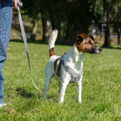 Ollipet Seoul Step-in Sele + Line | OUTLET