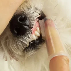 Ollipet Silikone fingertandbørste