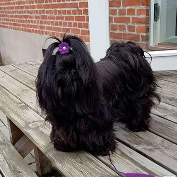 Ollipet Silkeblomst med perle