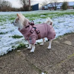 Ollipet Sirius DeLuxe Dynejakke