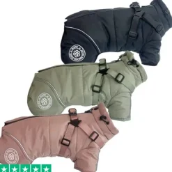 Ollipet Sirius DeLuxe Dynejakke