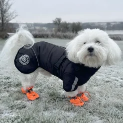 Ollipet Sirius DeLuxe Dynejakke