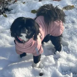 Ollipet Sirius DeLuxe Dynejakke