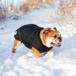 Ollipet Sirius Strong Body Dynejakke | M. Sele