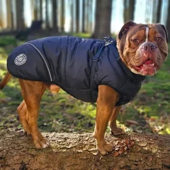 Ollipet Sirius Strong Body Dynejakke | M. Sele