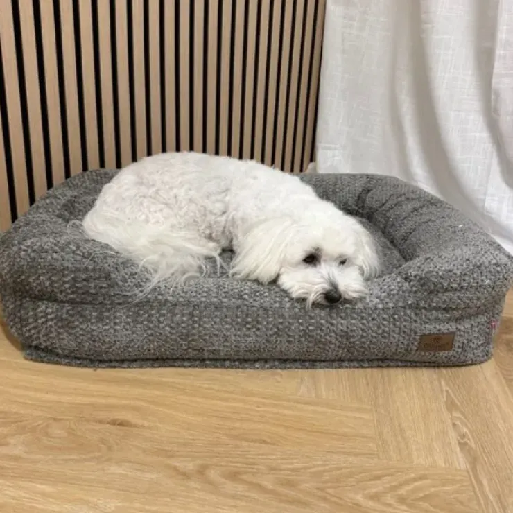 Ollipet Skagen Memoryskum Hundekurv | 70 x 55cm