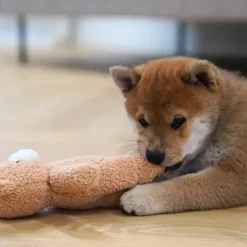 Ollipet Snuggle Buddies Teddy Bear