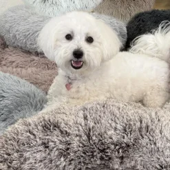 Ollipet Soft Cloud Donut Hundeseng